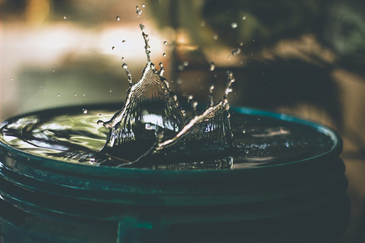 Whole house water filtration versus under-sink reverse osmosis system
